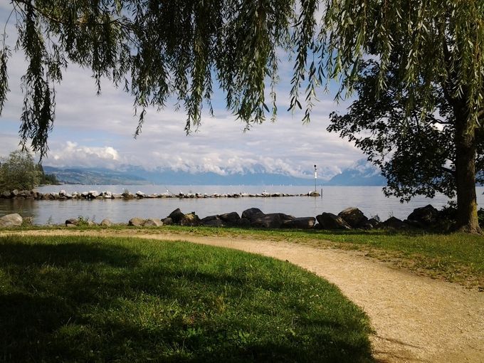  Promenade au bord du Lac Léman /Quelques propositions pour découvrir La Romandie. 
Un Site recommander: www.guidle.com,  vous trouvez sous la rubrique: 